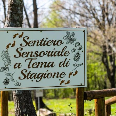 Villaggio Anemone - Chalet Anemone Capanne di Sillano 外观 照片